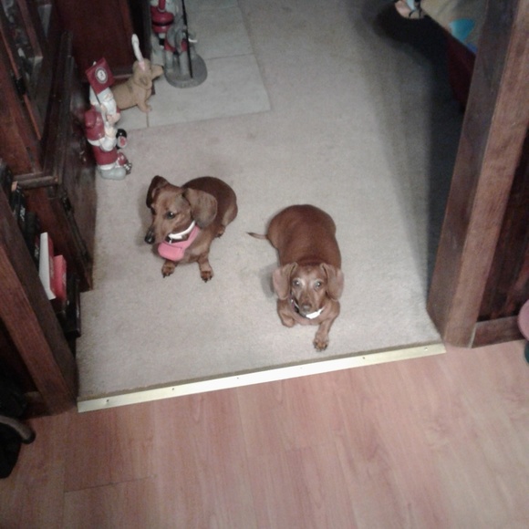 Meet your Posher, Stacie - Picture 1 of 1